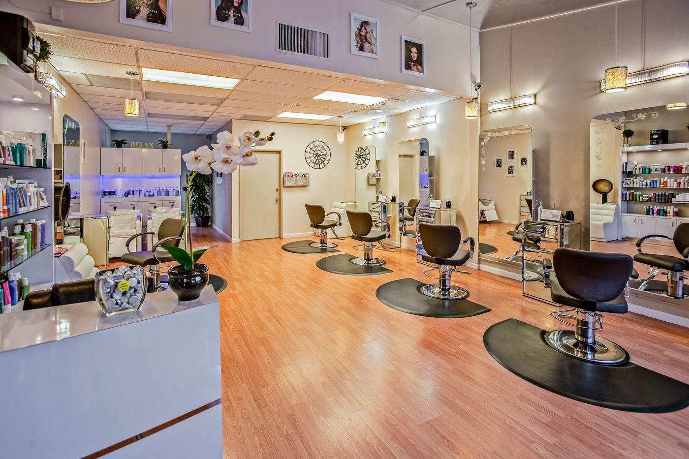 Elegant salon interior with blush chairs and gold mirrors