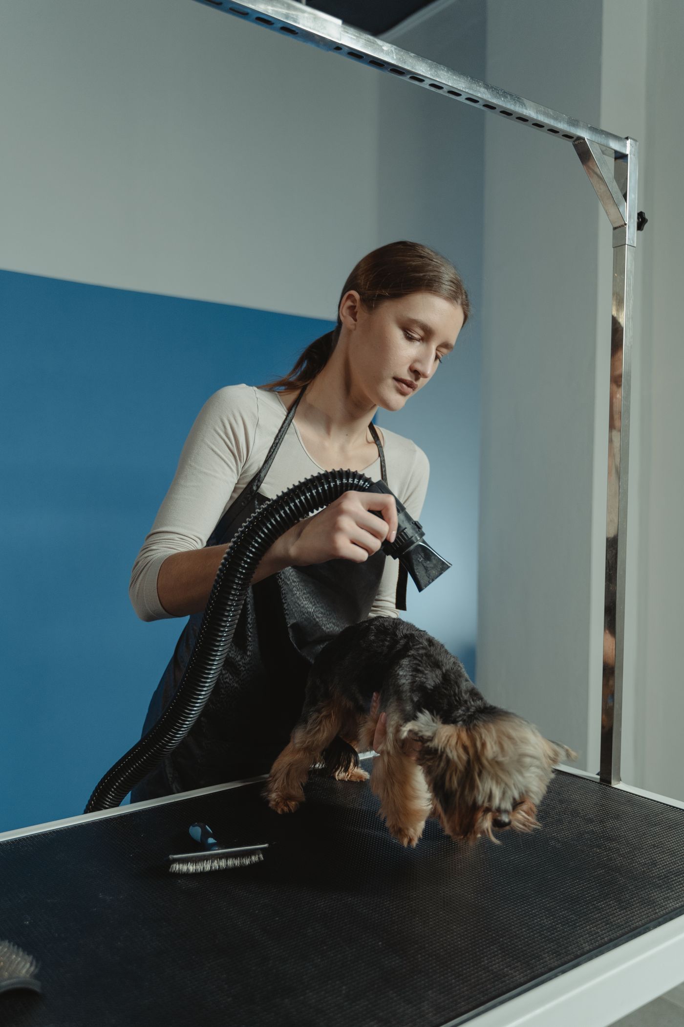 Gentle blow-dry on the table