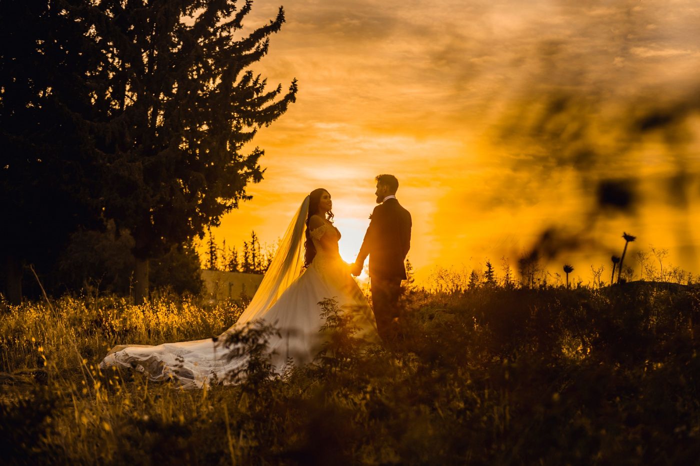 Couple holding hands at golden hour